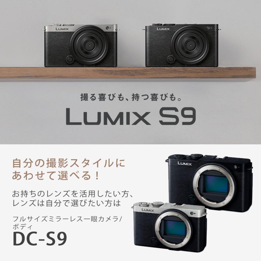 Panasonic（パナソニック） ミラーレスカメラ LUMIX S9 ボディ DC-S9