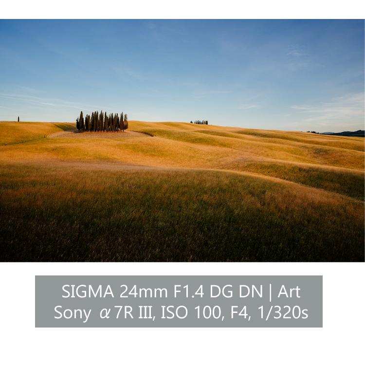 （レビューでレンズキャッププレゼント）レンズ シグマ 24mm F1.4 DG DN (A) ソニーEマウント用の画像