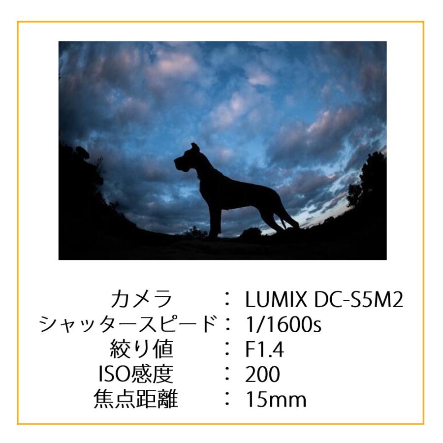 （レビューでレンズキャッププレゼント）SIGMA 15mm F1.4 DG DN DIAGONAL FISHEYE（A）ライカLマウント用｜homeshop｜08