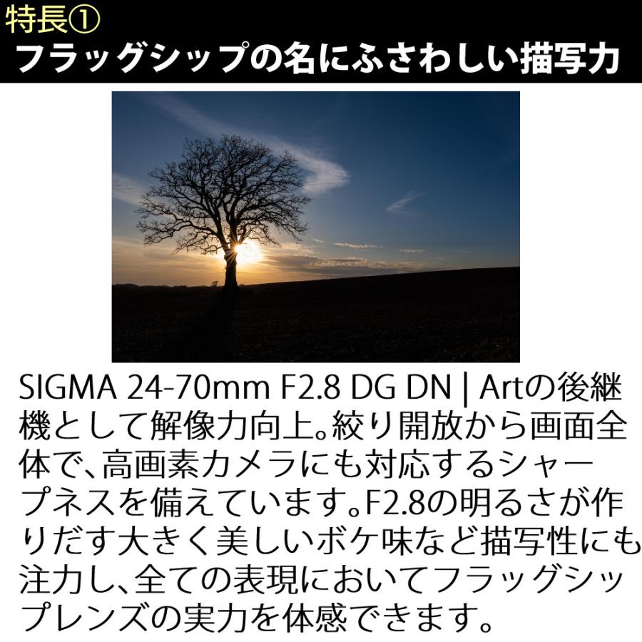 シグマ (レビュープレゼント)シグマ 24-70mm F2.8 DG DN II シグマ (レビュープレゼント)シグマ 24-70mm F2.8 DG DN II