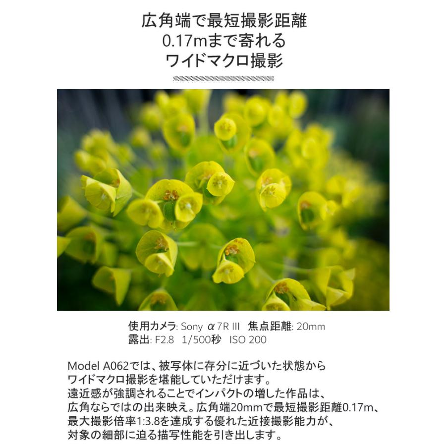 （レビューでプレゼント レンズ タムロン 20-40mm F/2.8 Di III VXD ソニーEマウント用 A062Sの画像