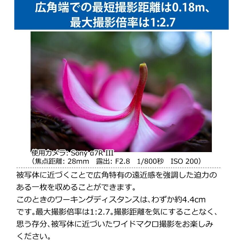 （レビューでプレゼント）タムロン 28-75mm F/2.8 Di III VXD G2 ニコンZマウント用 A063Z｜homeshop｜05