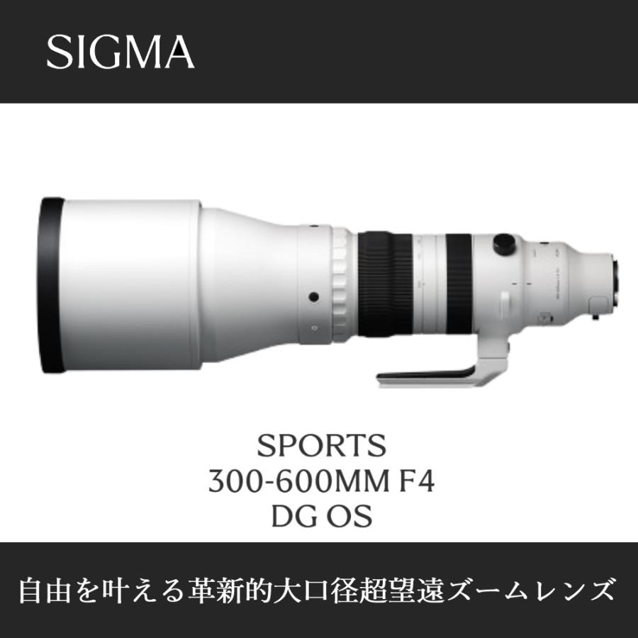 シグマ（SIGMA） （レビュー特典あり）シグマ 300-600mm F4 DG OS（S