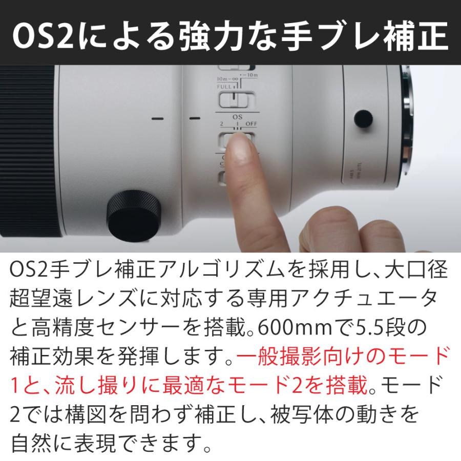 シグマ（SIGMA） （レビュー特典あり）シグマ 300-600mm F4 DG OS（S