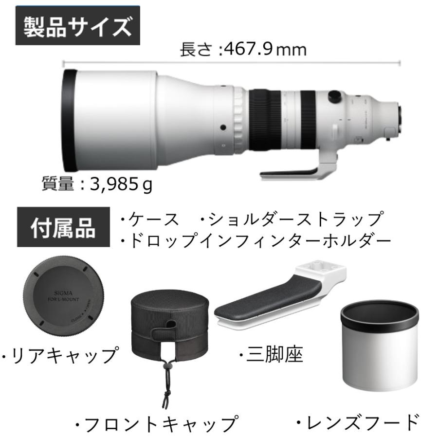 シグマ（SIGMA） レビュー特典有 300-600mm F4 DG OS（S）ライカL