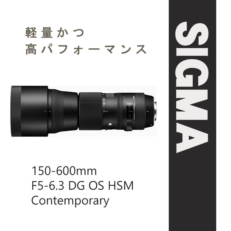 シグマ (レビューでレンズキャッププレゼント)シグマ 150 シグマ (レビューでレンズキャッププレゼント)シグマ 150