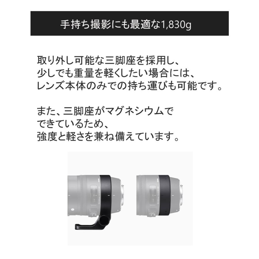 シグマ (レビューでレンズキャッププレゼント)シグマ 150 シグマ (レビューでレンズキャッププレゼント)シグマ 150