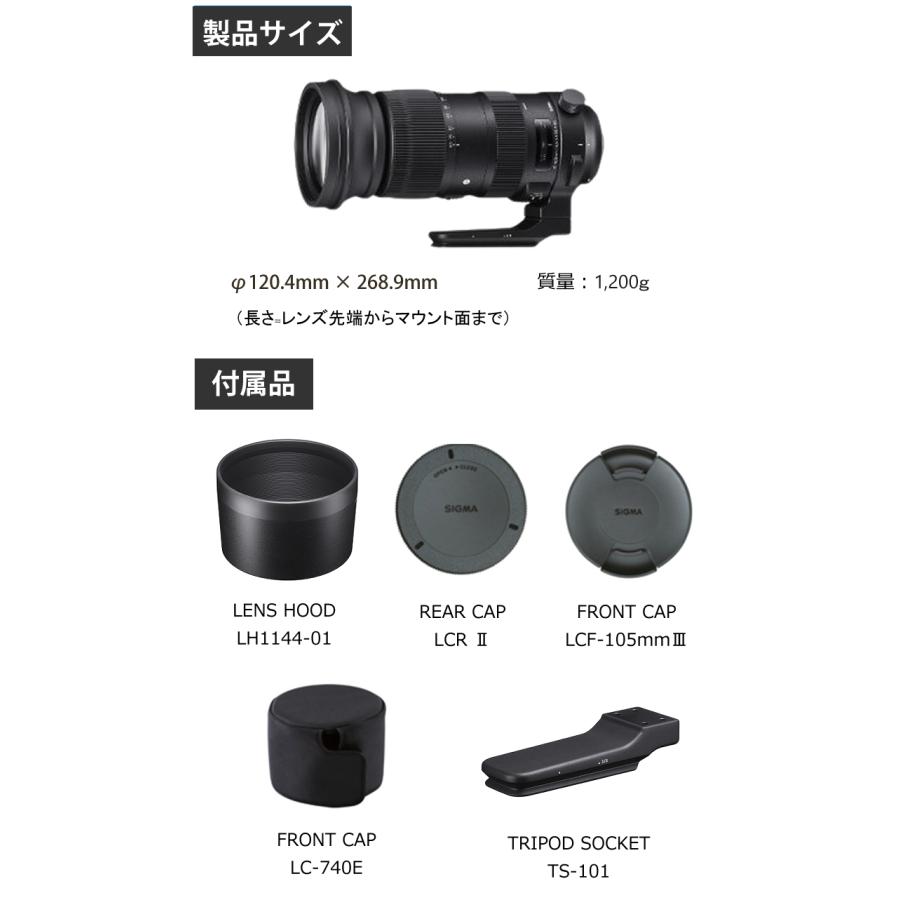 （レビューでレンズキャッププレゼント）シグマ 60-600mm F4.5-6.3 DG OS HSM (S) キヤノンマウント用（ラッピング不可）｜homeshop｜07