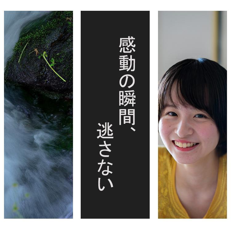 シグマ (レビューでレンズキャッププレゼント)シグマ 56mm F1 シグマ (レビューでレンズキャッププレゼント)シグマ 56mm F1