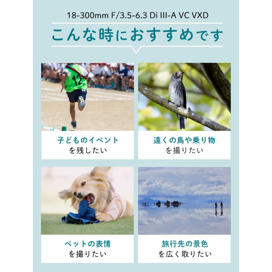 TAMRON（タムロン） 18-300mm F3.5-6.3 Di III-A VC VXD APS-C ソニーE
