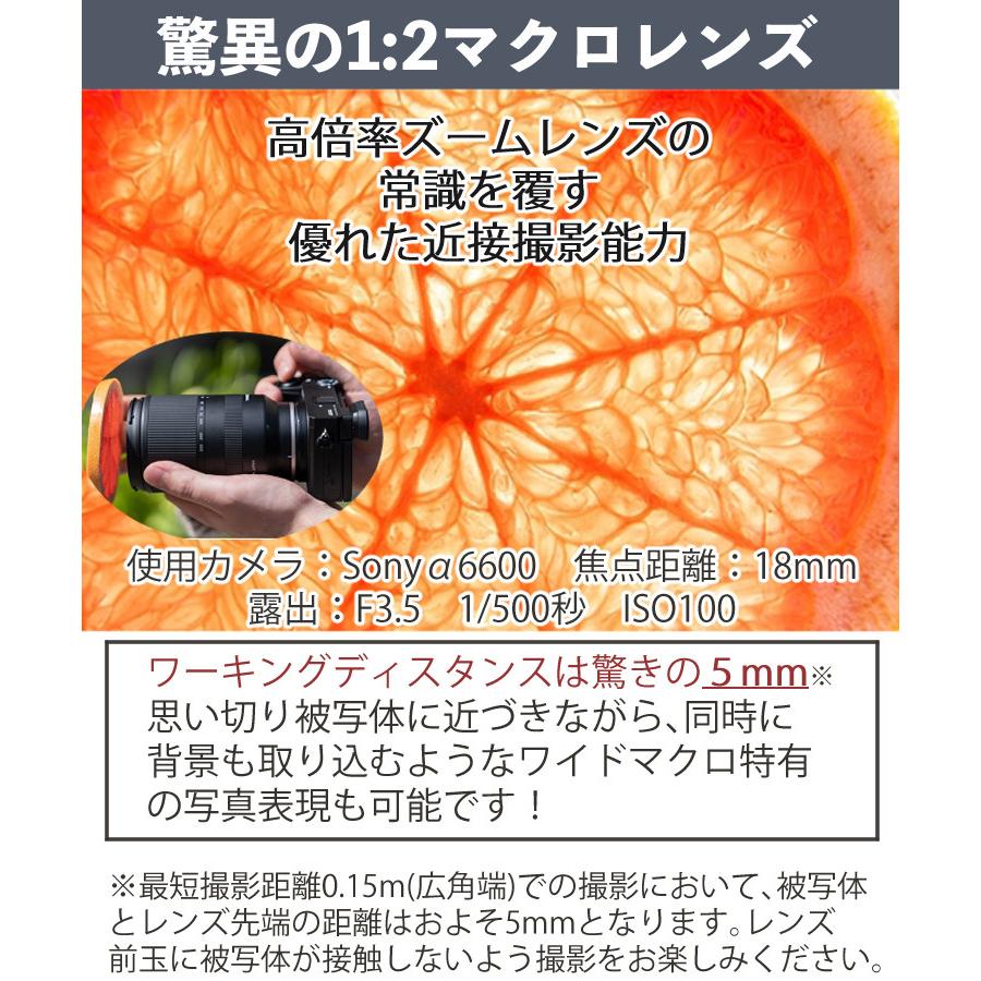 タムロン 18-300mm F/3.5-6.3 Di III-A VC VXD キヤノンRFマウント用 B061R （レビューでプレゼント）の画像
