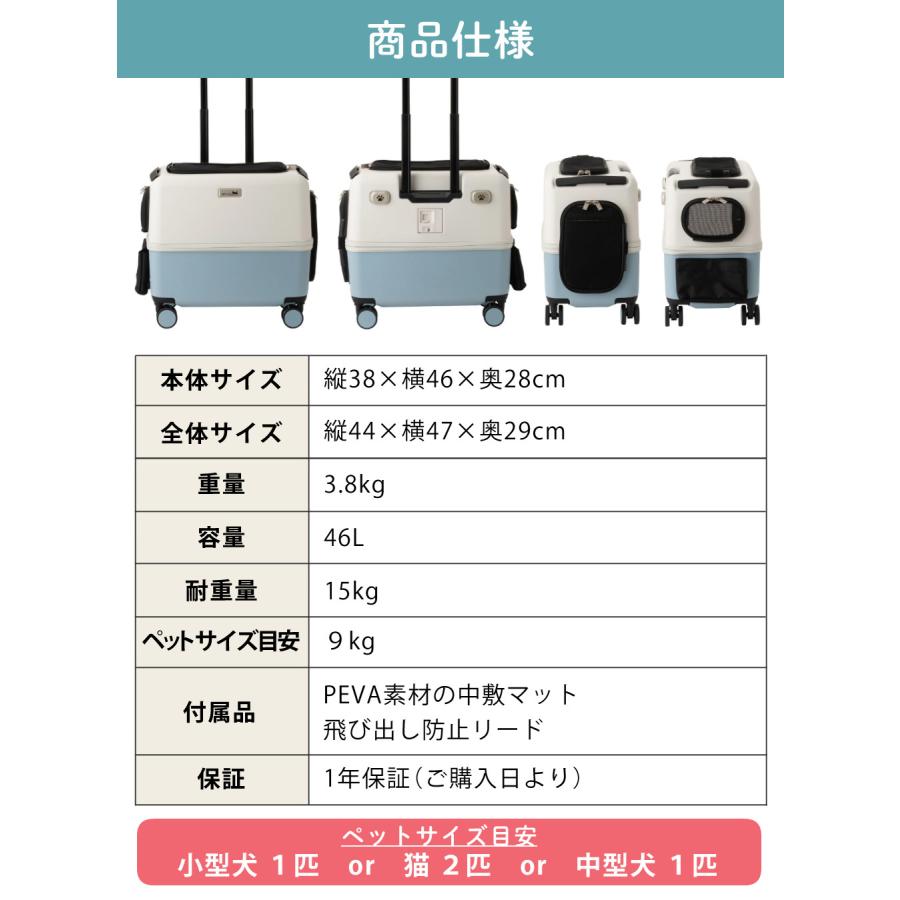 LEGEND WALKER（レジェンドウォーカー） レビュー特典有（耐重量15Kg