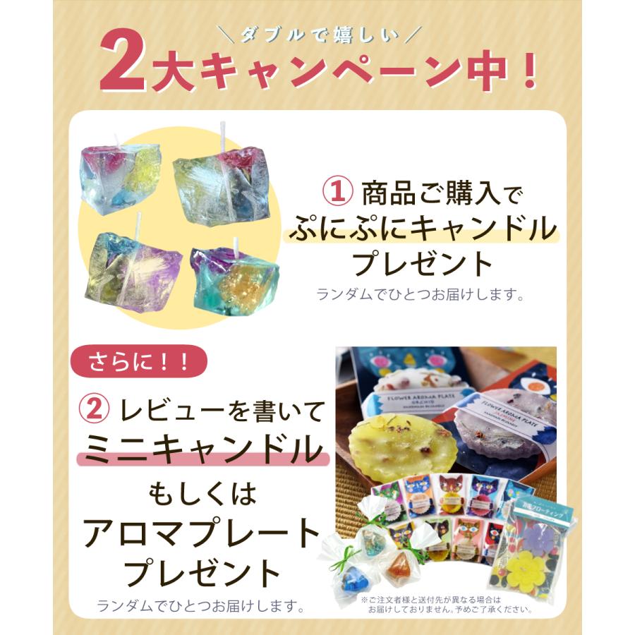 Candly キャンドリー 細氷キャンドル（ソーサー付） ローソク