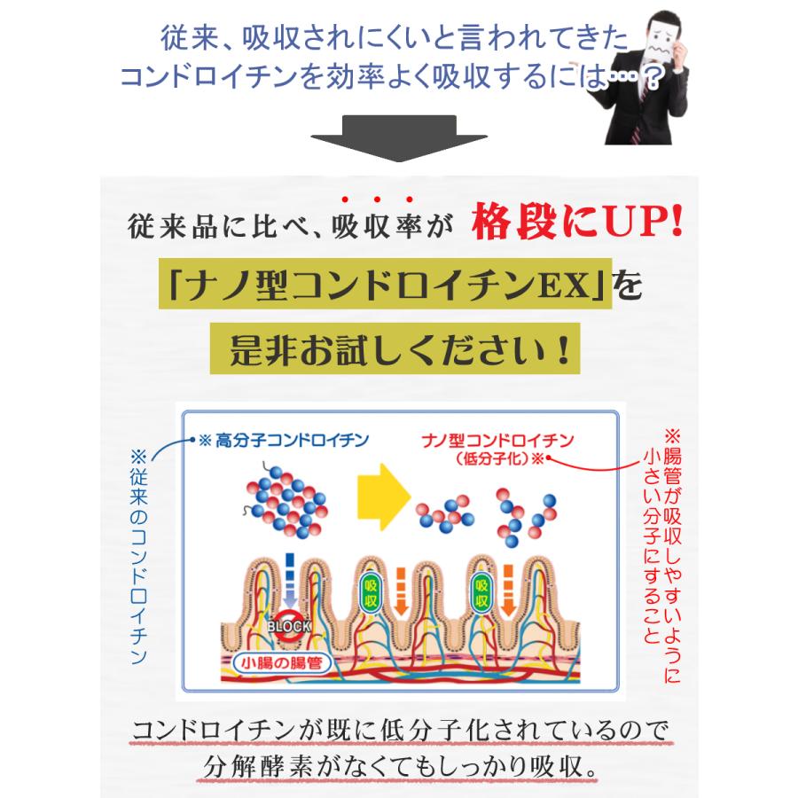 ナノ型コンドロイチンEX 62粒 サプリ 1ヶ月分 丸共バイオフーズ 非変性II型コラーゲン配合 栄養補助 サプリメント（メール便可：10点まで）  （ラッピング不可）