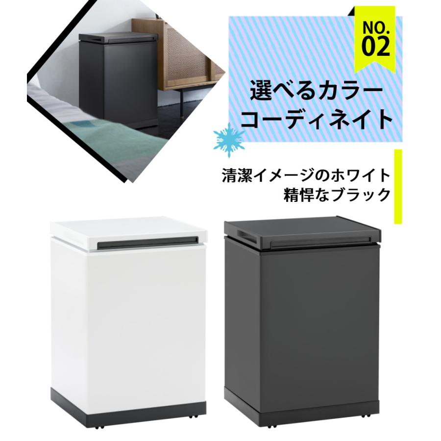 SANKA サンカ 冷やすゴミ箱 クリーンボックス SCB-040 CLEAN BOX L 38L