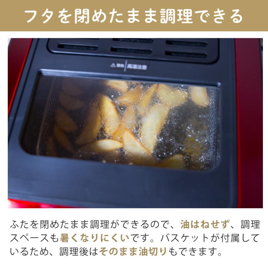 ANABAS（アナバス） 電気フライヤー 家庭用 蓋つき 卓上 窓付き KFM