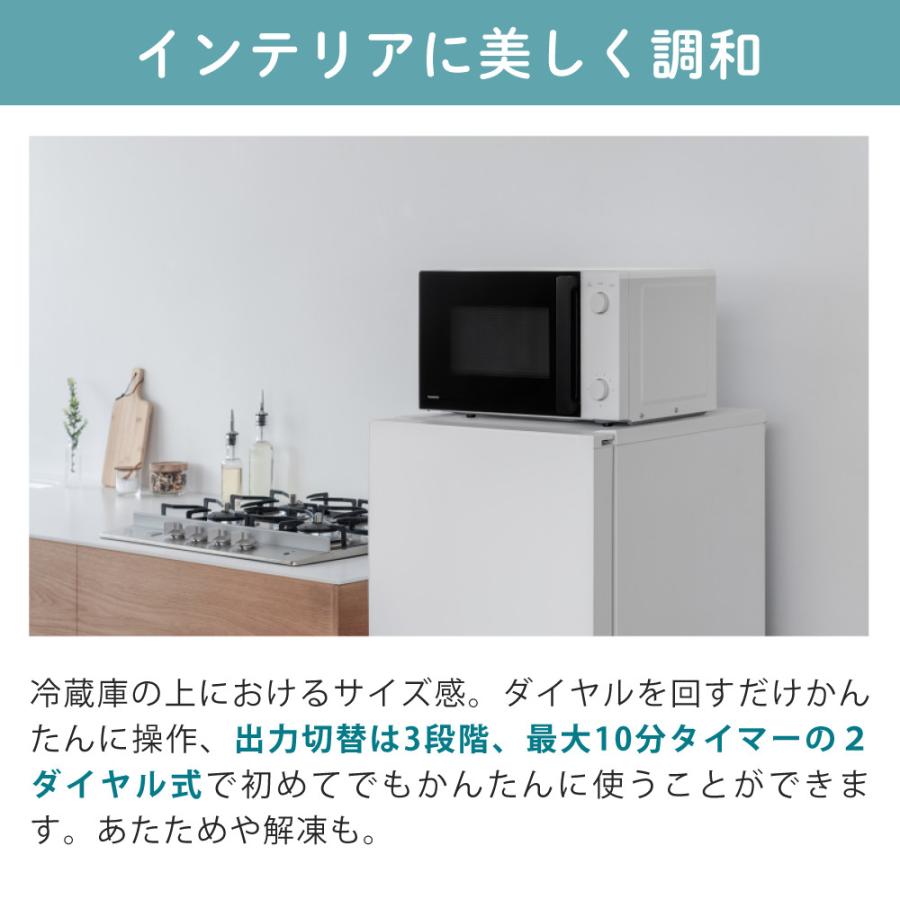 ツインバード（TWINBIRD） 単機能電子レンジ DR-D254W ヘルツフリー