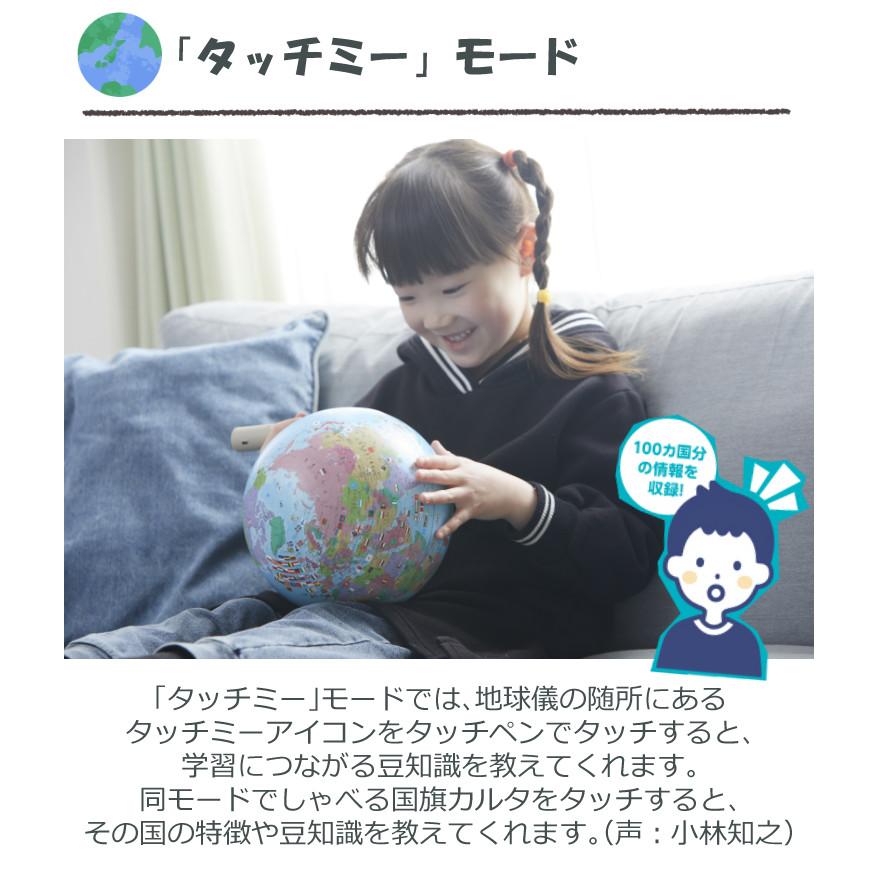 レイメイ藤井 タッチペン付き 地球儀 しゃべる国旗付地球儀＆カルタ