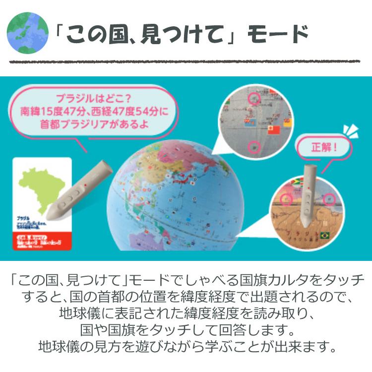 レイメイ藤井 タッチペン付き 地球儀 しゃべる国旗付地球儀＆カルタ
