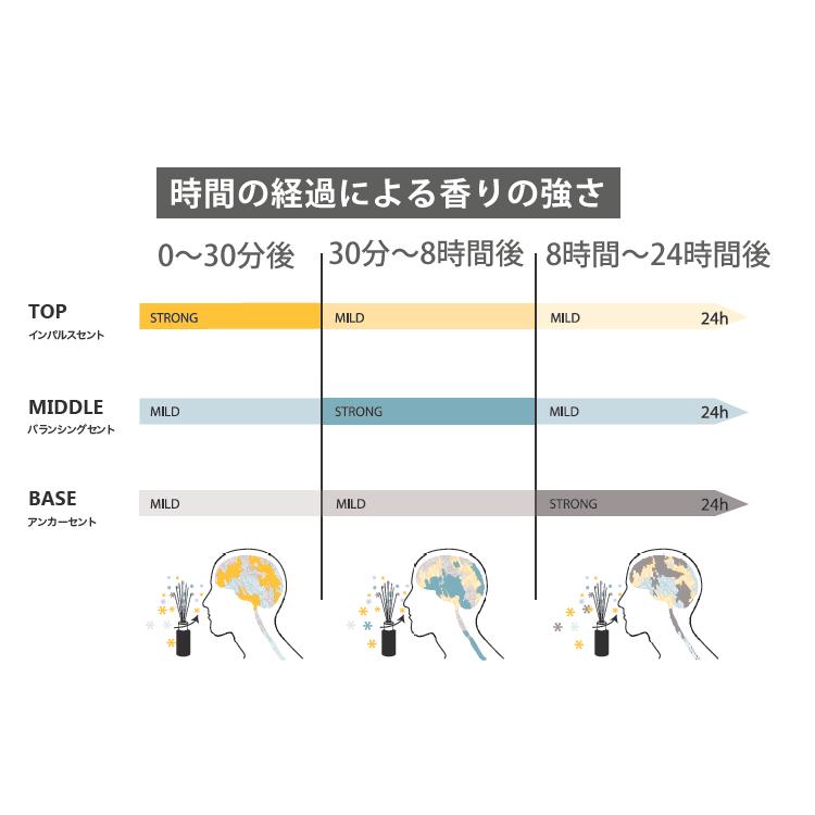 アシュレイ＆バーウッド フレグランス オイル サマーレイン 500ml フレグランスランプ専用 PFL1230  ランプフレグランス ASHLEIGH&BURWOOD｜homeshop｜08