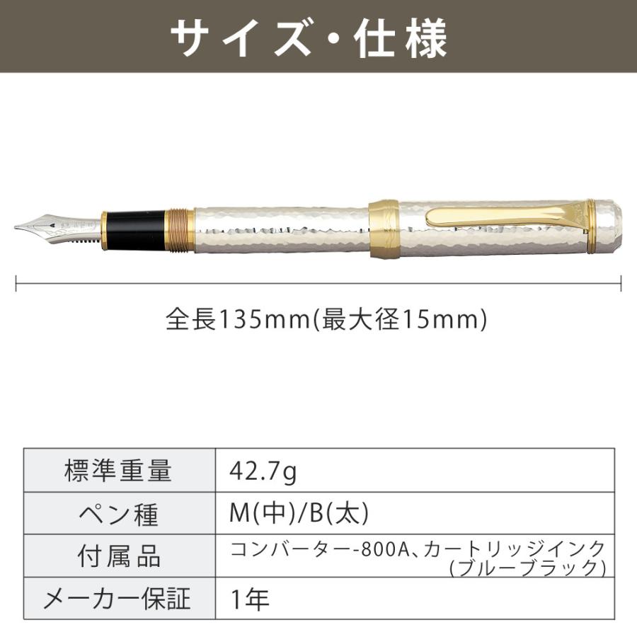 プラチナ万年筆 PP-100000M 銀無垢鍛金磨き 東京銀器伝統工芸士「岩村