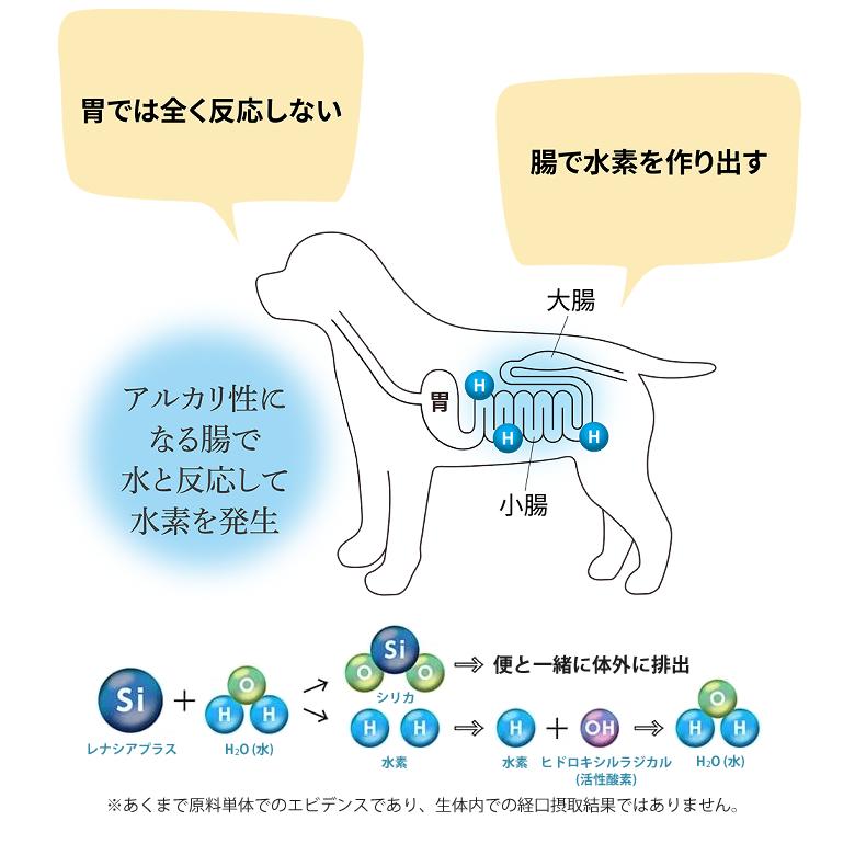 （消臭剤付）サンライズ THE・PERFECT ONE ドライ チキン 11歳以上用 600g STP-004 シニア犬（高齢犬） 国産 無添加 総合栄養食｜homeshop｜10