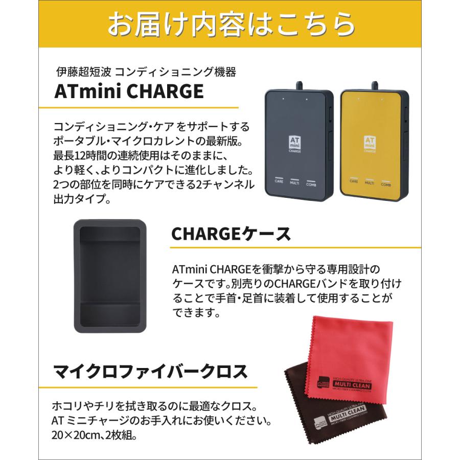 伊藤超短波 ATミニ チャージ ケース付き コンディショニング機器 伊藤超短波 ATミニ チャージ ケース付き コンディショニング機器