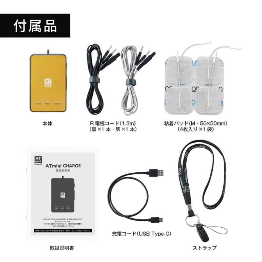 伊藤超短波 ATミニ チャージ ケース付き コンディショニング機器 伊藤超短波 ATミニ チャージ ケース付き コンディショニング機器