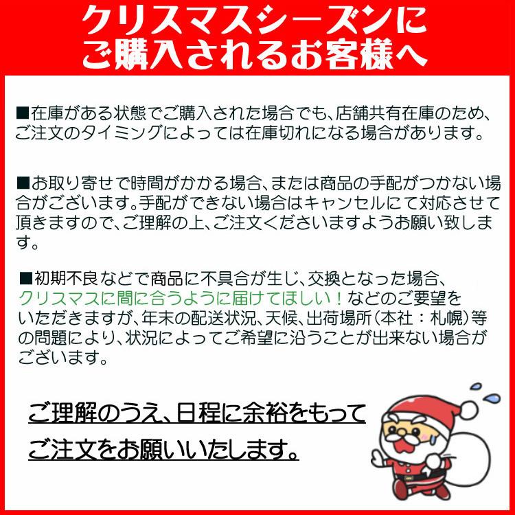 さあ今すぐ出動だ MAN消防車セット bruder（ブルーダー）MAN 消防車（02771）＆BR10200 子供用ヘルメット 車 海外製 本格的 動く（ラッピング不可）｜homeshop｜10