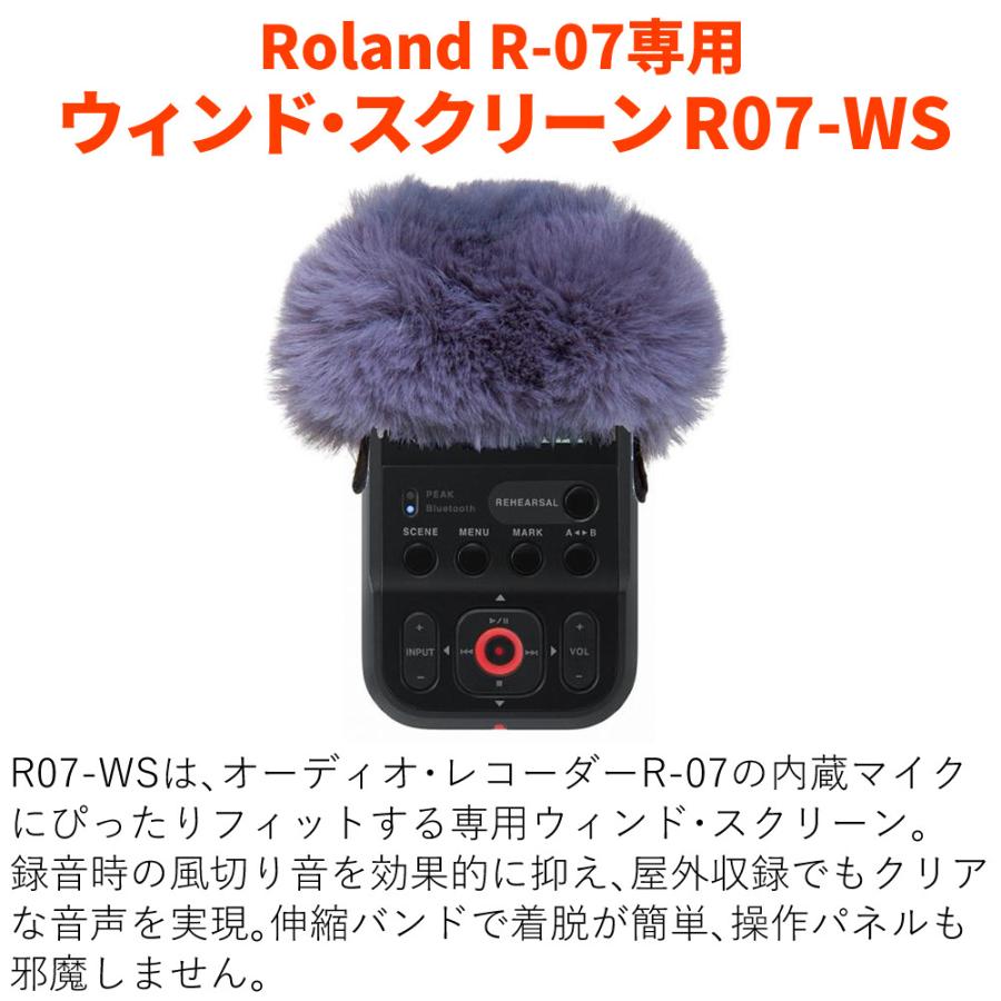 ローランド（Roland） Roland R-07 BK ブラック 専用 ウィンド