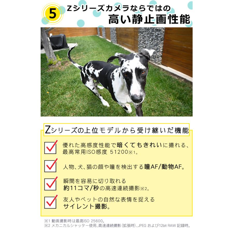 ニコン (7点セット)Nikon ミラーレスカメラ Z30 ダブルズーム ニコン (7点セット)Nikon ミラーレスカメラ Z30 ダブルズーム