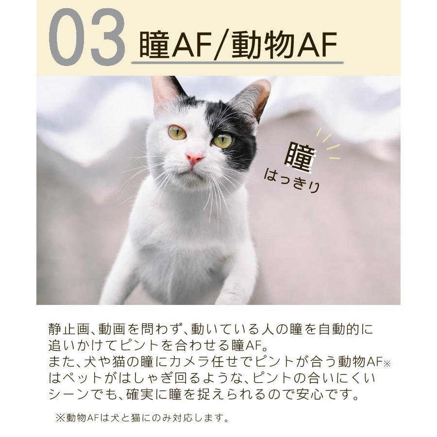 ニコン (6点セット)ニコン Nikon ミラーレス一眼カメラ Z fc 16 ニコン (6点セット)ニコン Nikon ミラーレス一眼カメラ Z fc 16