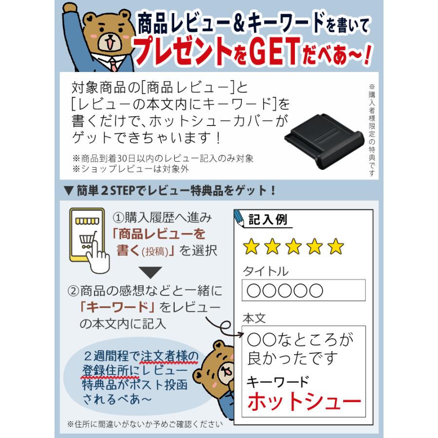 ニコン (レビュー特典有)(6点セット)ニコン Nikon ミラーレス ニコン (レビュー特典有)(6点セット)ニコン Nikon ミラーレス