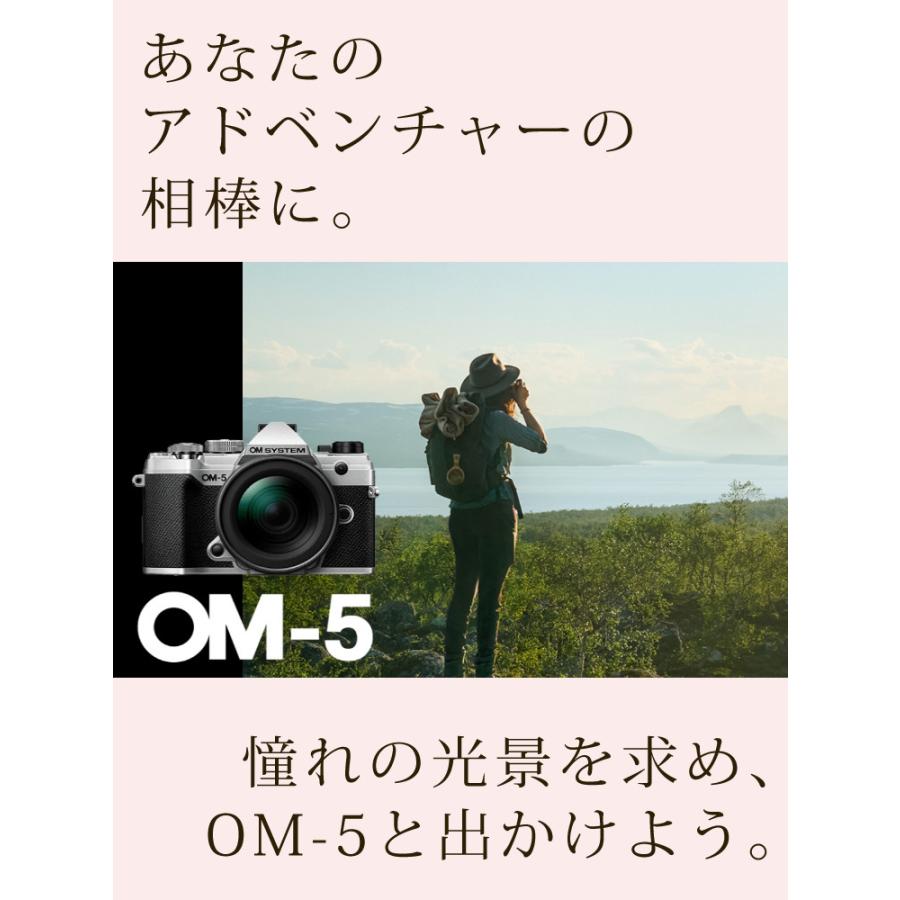 デジタルカメラセット Sony Olympus Canon 5台 Amazon | SONY(ソニー) Vlog用カメラ レンズ交換式VLOGCAM APS-C