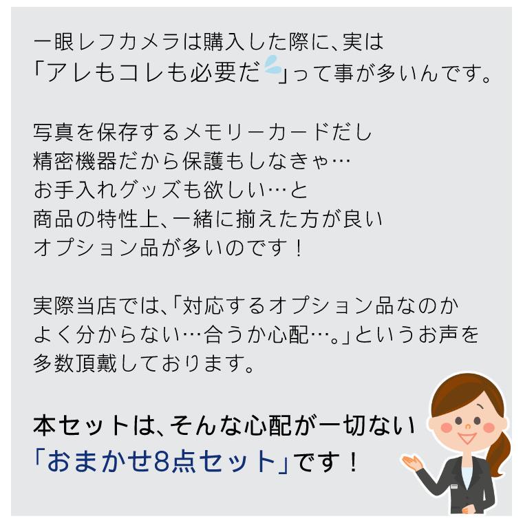 ニコン デジタル一眼レフカメラ D7500 ボディ&ニコンレンズ AF ニコン デジタル一眼レフカメラ D7500 ボディ&ニコンレンズ AF