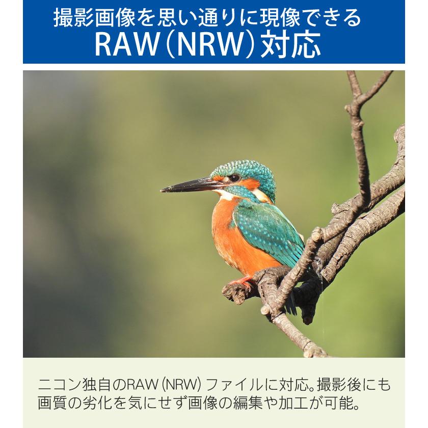 ニコン (SD・三脚等6点セット)(新品) Nikon コンパクトデジタル ニコン (SD・三脚等6点セット)(新品) Nikon コンパクトデジタル