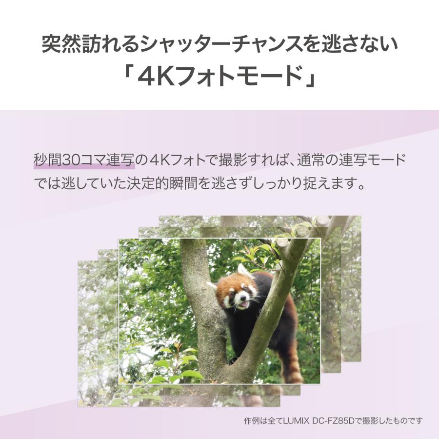 Panasonic（パナソニック） デジタルカメラ ルミックス LUMIX FZ85D