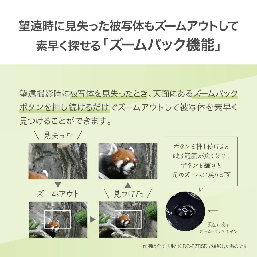Panasonic（パナソニック） デジタルカメラ ルミックス LUMIX FZ85D