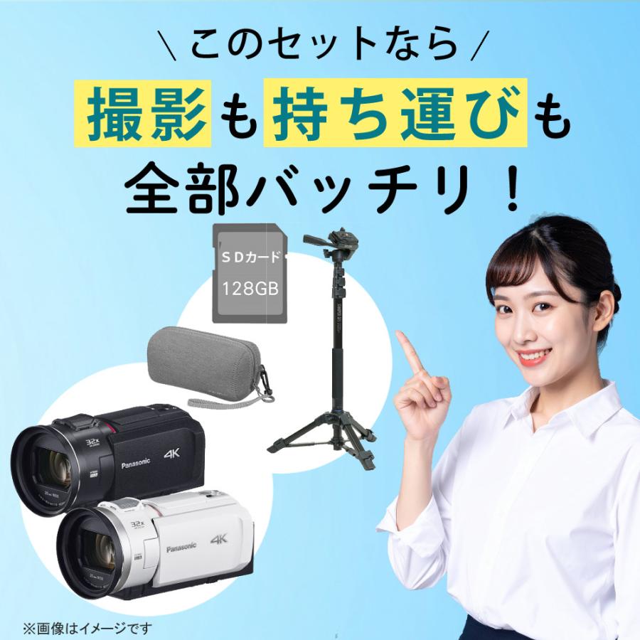 Panasonic（パナソニック） デジタル4Kビデオカメラ HC-VX3 ブラック