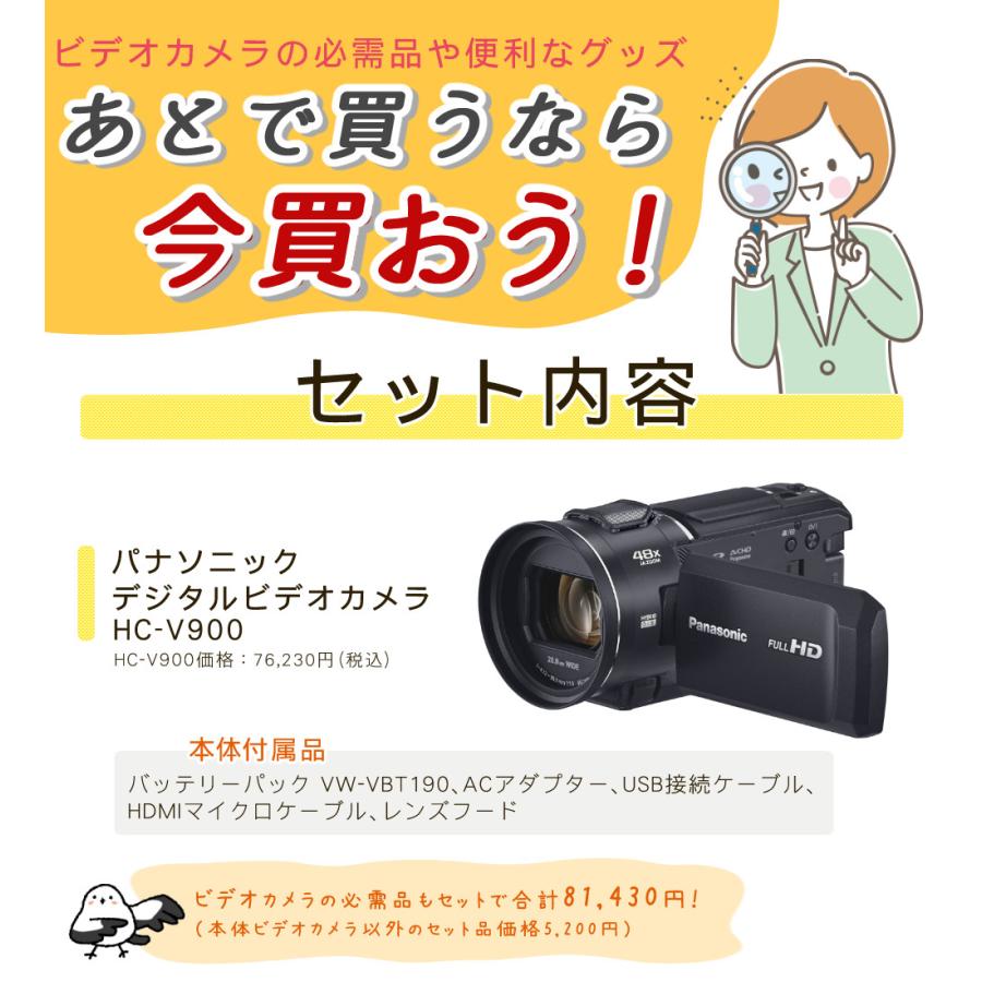 Panasonic（パナソニック） デジタルビデオカメラ HC-V900-K ブラック