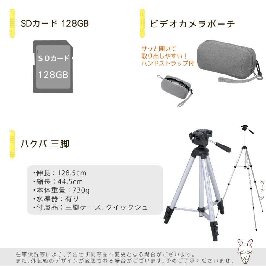 Panasonic（パナソニック） デジタルビデオカメラ HC-V900-K ブラック