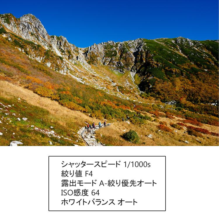 （レビューでレンズキャッププレゼント） レンズ保護フィルター付 シグマ 16mm F1.4 DC DN (C) マイクロフォーサーズ｜homeshop｜04