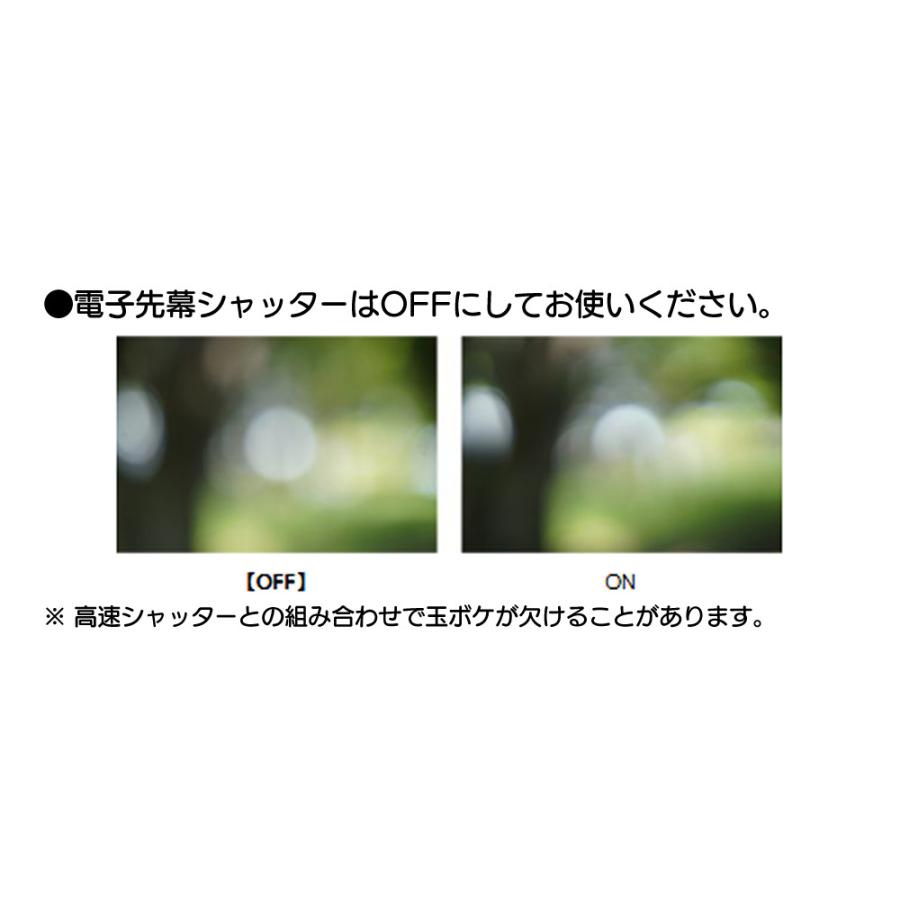 （レビューでプレゼント）SIGMA 50mm F1.2 DG DN（A） ソニーEマウント用＆SOLID 72mm｜homeshop｜10