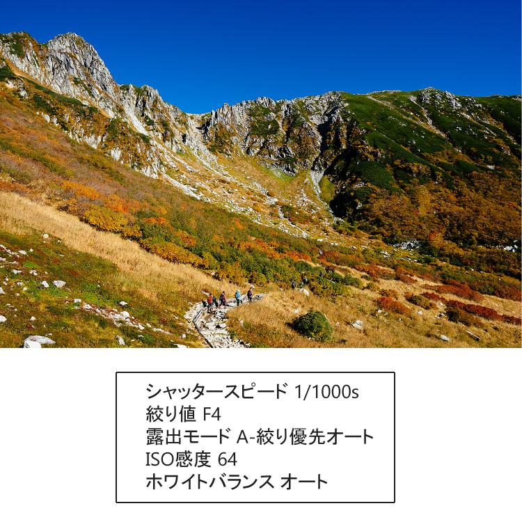 （レビューでレンズキャッププレゼント） ケンコー高品質フィルターセット シグマ 16mm F1.4 DC DN（C） マイクロフォーサーズ｜homeshop｜04