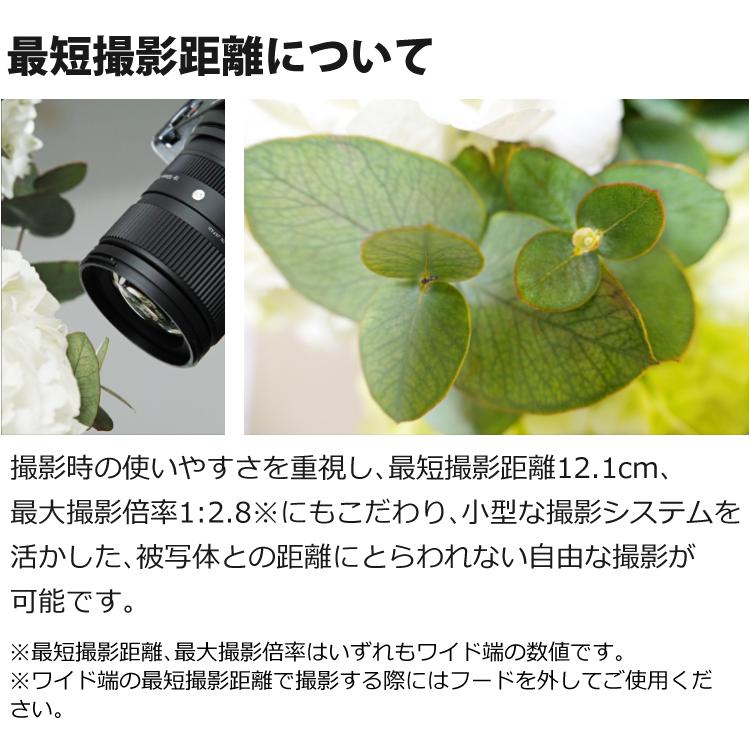 シグマ (レビューでプレゼント) バッグ付き 18-50mm F2.8 DC シグマ (レビューでプレゼント) バッグ付き 18-50mm F2.8 DC