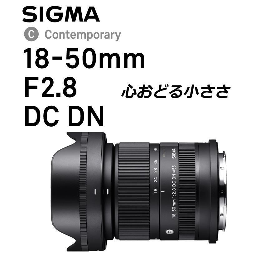 （レビューでレンズキャッププレゼント）カメララッププレゼント フィルターセット シグマ SIGMA 18-50mm F2.8 DC DN（C） ソニーEマウント用｜homeshop｜02