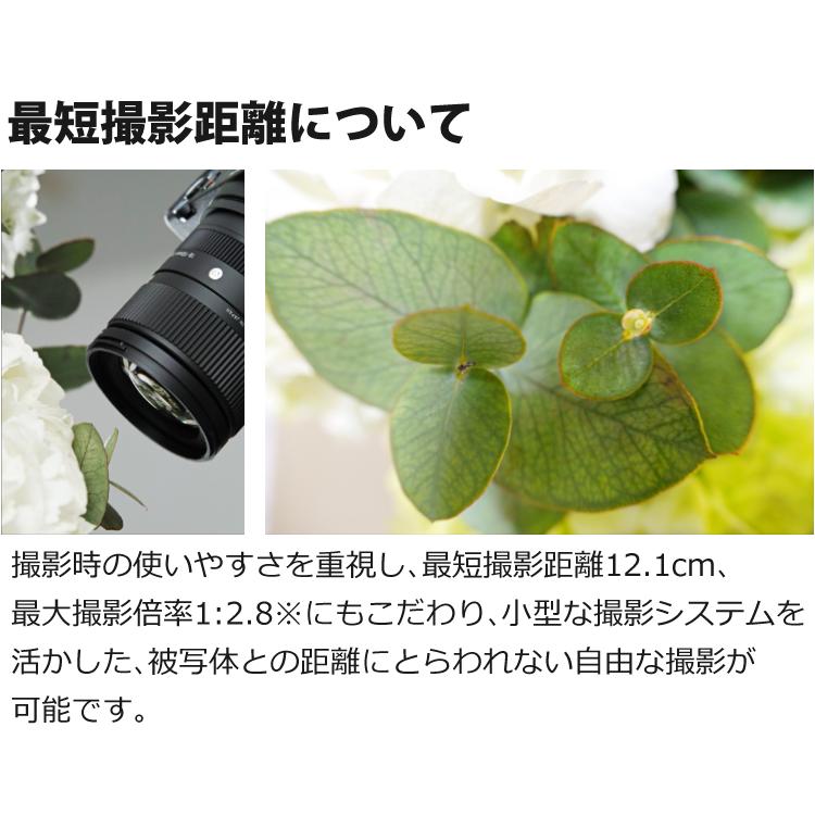 シグマ（SIGMA） （レビューでレンズキャッププレゼント） レンズ保護