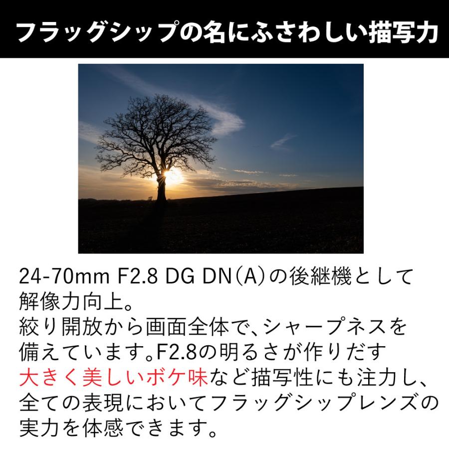 シグマ (レビュープレゼント) レンズ保護フィルター付 24-70mm シグマ (レビュープレゼント) レンズ保護フィルター付 24-70mm