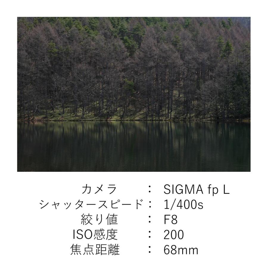シグマ (レビュープレゼント) レンズ保護フィルター付 24-70mm シグマ (レビュープレゼント) レンズ保護フィルター付 24-70mm