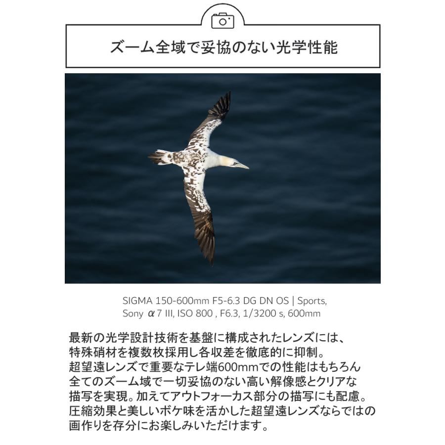 シグマ カメラレンズ&クロスセット 150-600mm F5-6.3 DG DN OS シグマ カメラレンズ&クロスセット 150-600mm F5-6.3 DG DN OS